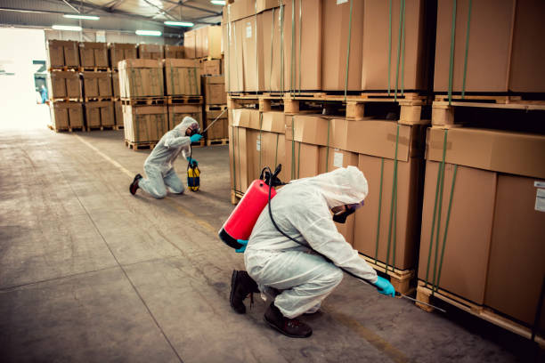 Trusted Big Bear Lake, CA Pest Control Experts