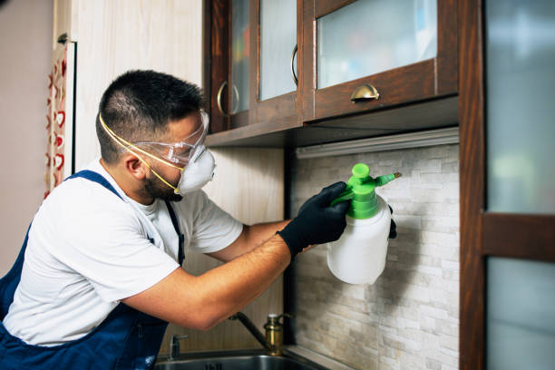 Best Bed Bug Extermination  in Big Bear Lake, CA