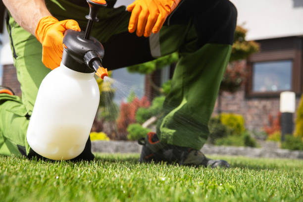 Best Pest Prevention Services  in Big Bear Lake, CA