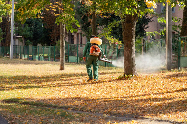 Best Best Pest Control Companies  in Big Bear Lake, CA