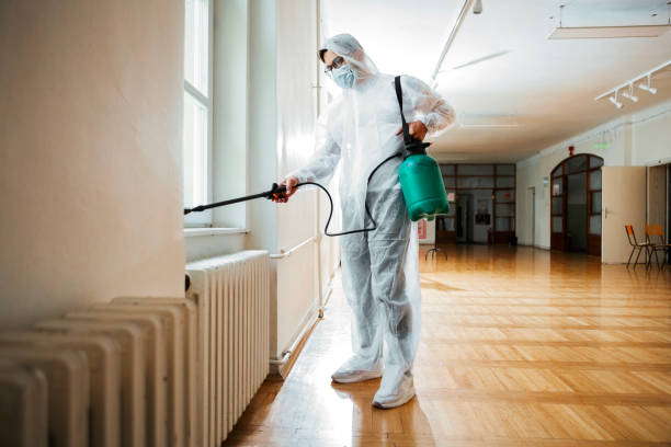 Flea Control Services in Big Bear Lake, CA
